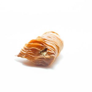 Aragostine